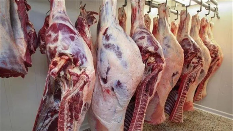 أسعار اللحوم الحمراء اليوم الإثنين 4 مايو 2026