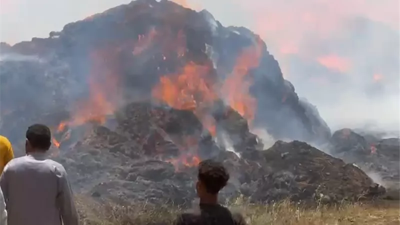من مزرعة مواشي لشونة كتان.. كل التفاصيل عن حريق الغربية المروع