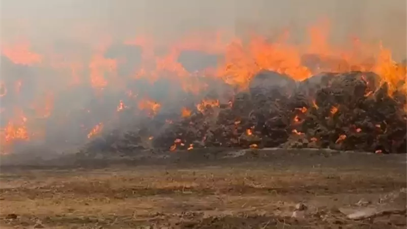 بينهم رجل إطفاء.. عشرات المصابين جراء حريق شونة الكتان بالغربية