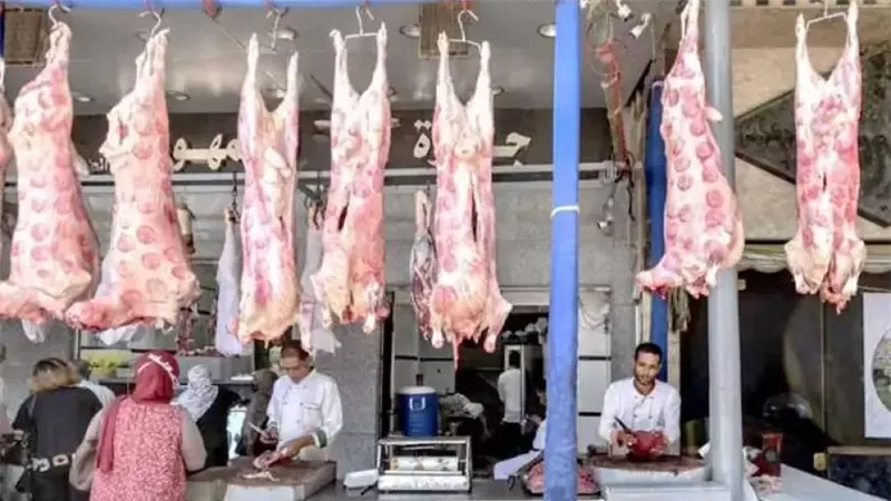 تفاوت أسعار اللحوم اليوم الأحد في الأسواق.. ارتفاع نسبي بمحلات الجزارة