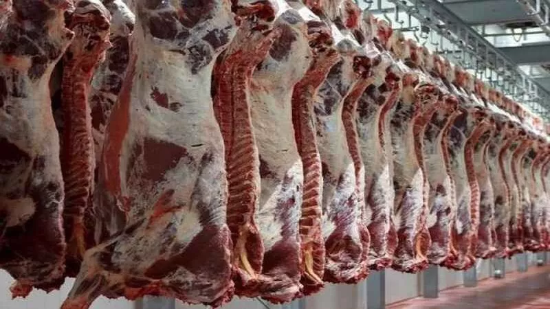 ارتفاع نسبي في أسعار اللحوم اليوم الأربعاء 3 ديسمبر