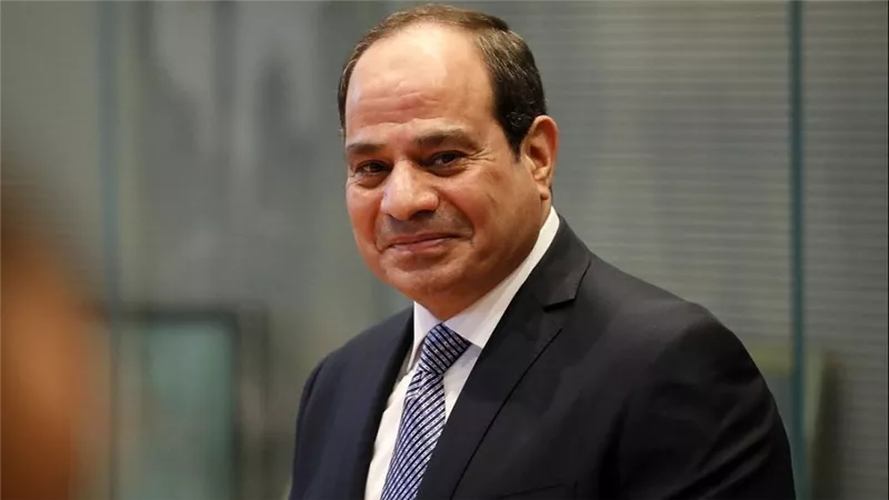 السيسي يلتقي رئيس البنك الإفريقي للتنمية ويؤكد دعم مصر المستمر للتعاون التنموي