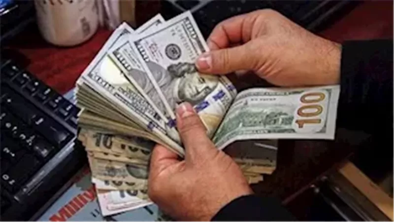 استقرار ملحوظ في سعر الدولار بالبنوك المصرية اليوم الأربعاء