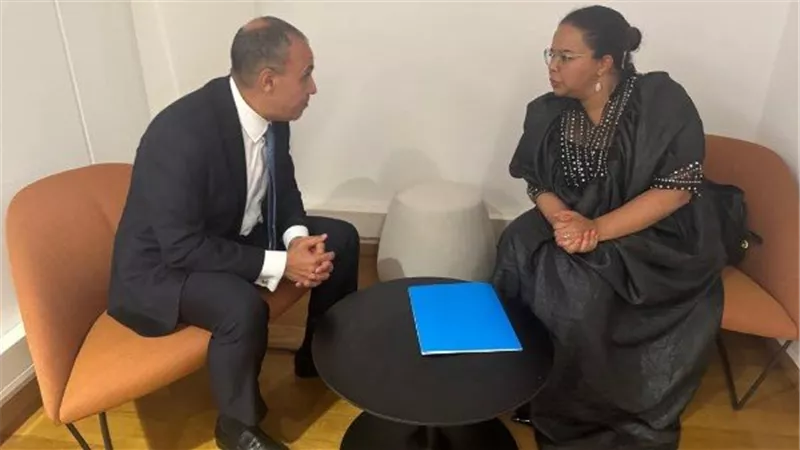 «عبد العاطي» يبحث مع وزيرة خارجية الكونغو تعزيز التعاون ودعم الاستقرار الإقليمي