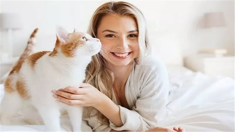 أمراض القطط