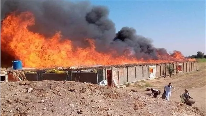 السيطرة على حريق هائل بمزرعة دواجن في سقارة.. والنيابة تباشر التحقيقات