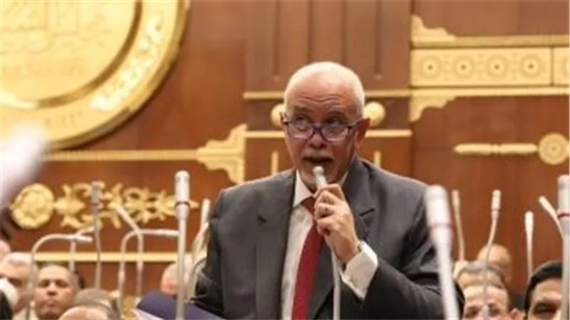الجندي.. مصر حذرت من تمدد الصراع الفلسطيني.. وتجاهل المجتمع الدولي فاقم الكارثة