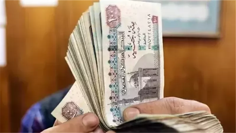 1500 جنيه دعم المولد النبوي 2025.. خطوات التسجيل والفئات المستفيدة رسميًا 