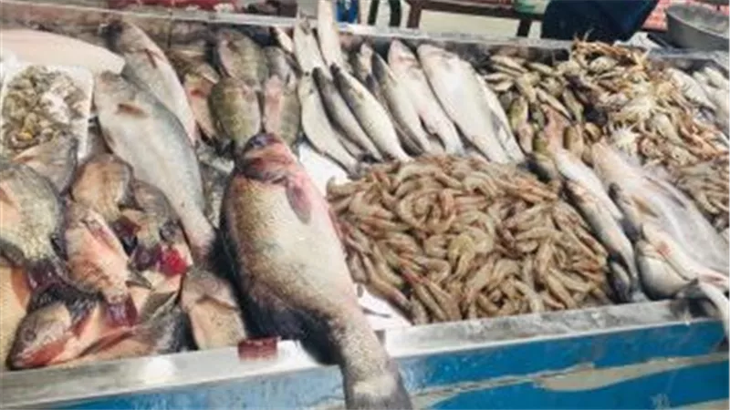 استقرار أسعار الأسماك في الأسواق المصرية اليوم الأثنين