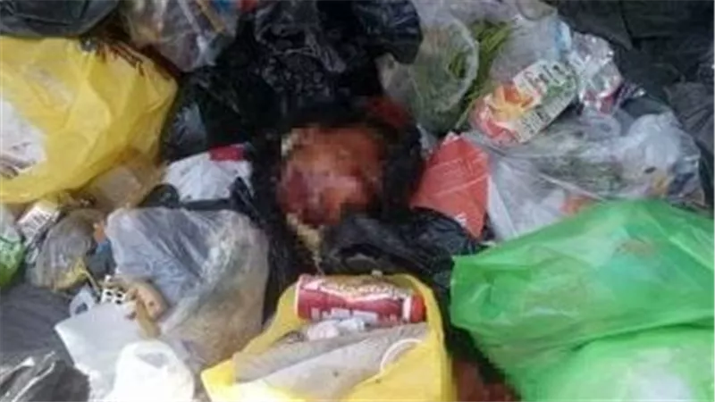 العثور على رأس طفلة مفصولة داخل كيس قمامة يهز بني سويف