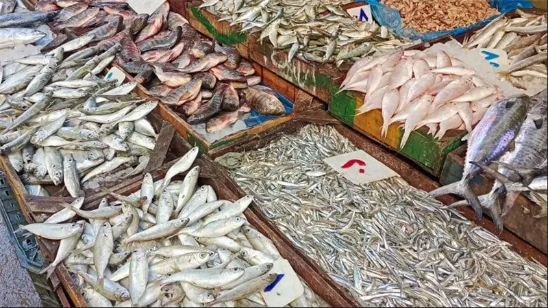 أسعار الأسماك البوري والبلطي تتصدر سوق العبور للجملة اليوم