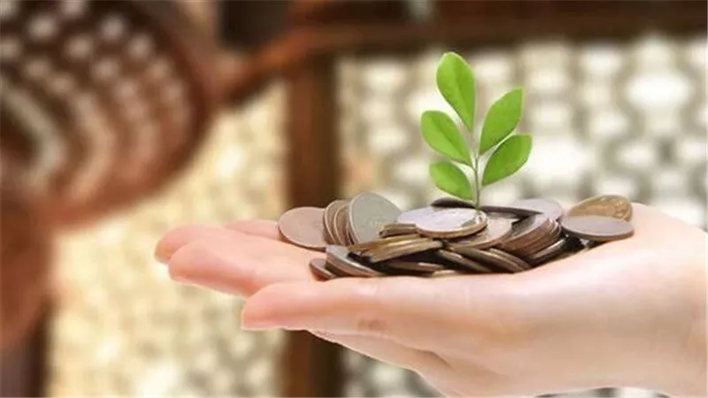 حكم تعجيل الزكاة قبل مرور العام.. دار الإفتاء توضح الرأي الشرعي