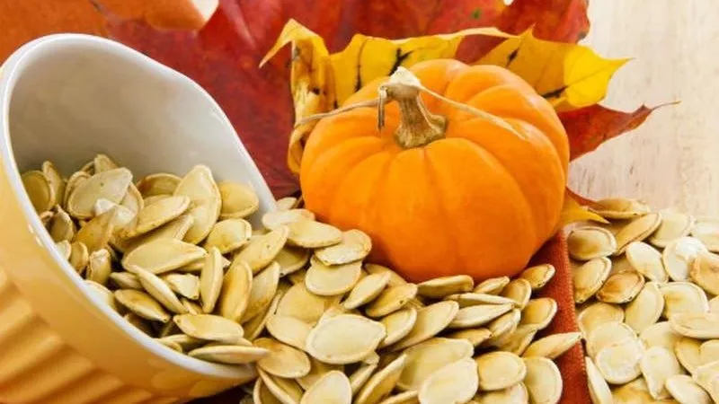 بذور اليقطين.. كنز طبيعي يحارب السرطان ويحمي البروستاتا ويقاوم الاكتئاب 