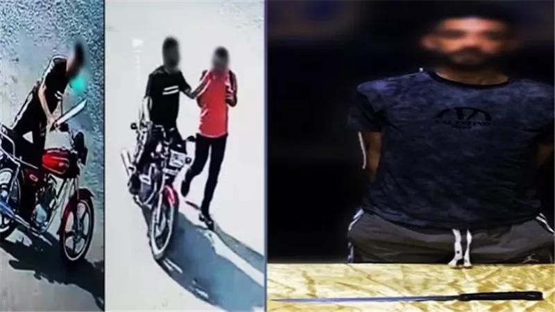 أمين الفتوى.. «الإبلاغ عن الجرائم» حفاظ على الأمن وليس انتهاكا للستر