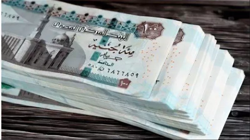 تفاصيل منحة المولد النبوي الشريف 2025.. رابط التسجيل والفئات المستحقة