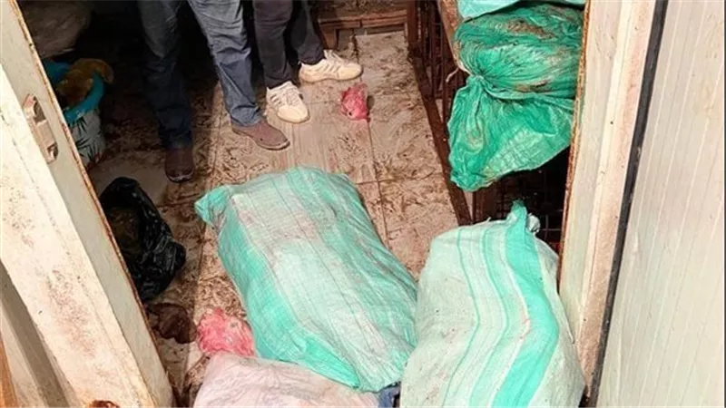 كارثة صحية في الأسواق.. ضبط 3 أطنان لحوم فاسدة في أوسيم