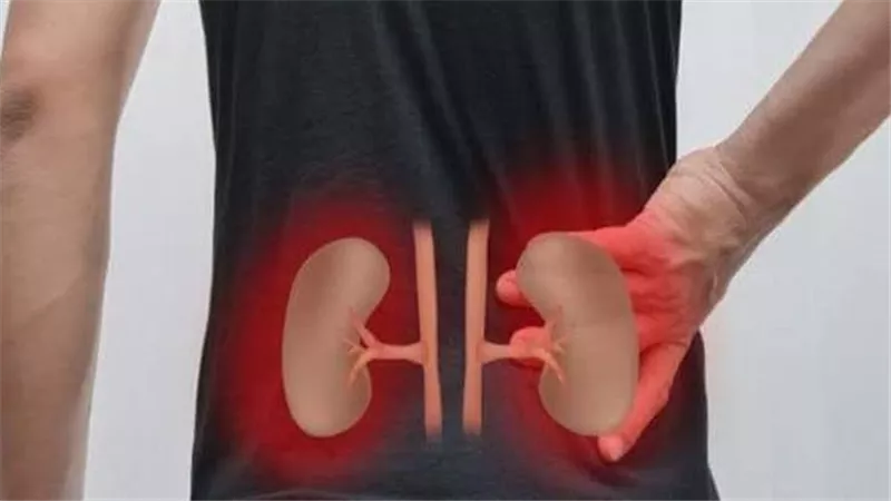 احذرها.. 7 أعراض واضحة تشير إلى تلف الكلى وتظهر في الساقين واليدين 