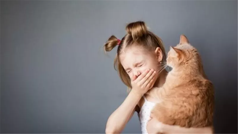 إذا كنت من محبي القطط.. خطوات سهلة لتقليل أعراض الحساسية المزعجة 