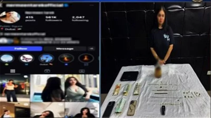 بعد اتهامها بالمحتوى الخادش للحياء.. الإفراج عن البلوجر نرمين طارق