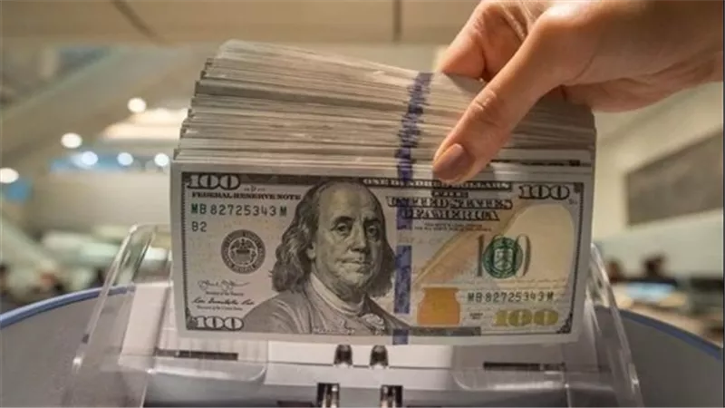 ثبات واستقرار في أسعار الدولار اليوم الجمعة