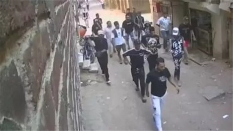 الداخلية تضبط مجموعة مسلحة في المطرية بعد تداول فيديو استعراض القوة