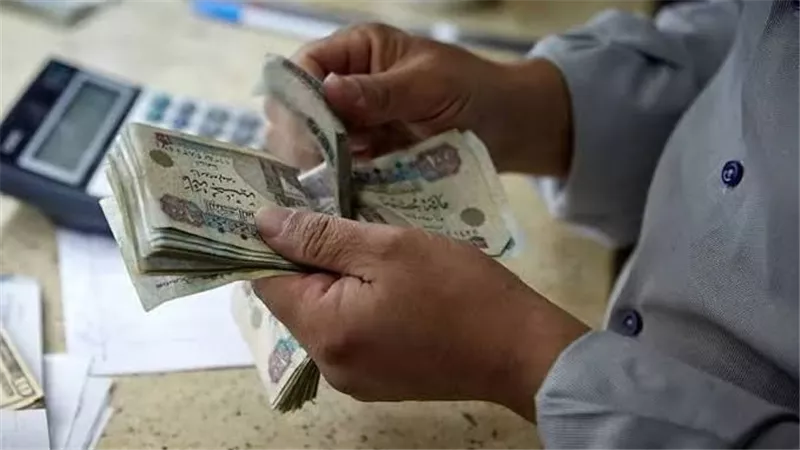 1500 جنيه منحة المولد النبوي 2025.. خطوات التقديم والفئات المستهدفة 