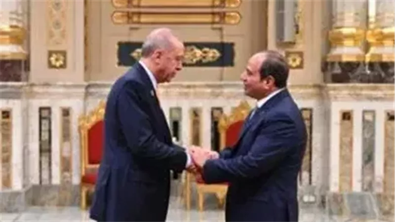 الرئيس السيسي وأردوغان يؤكدان حماية الشعب الفلسطيني فوراً