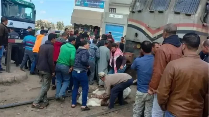 حادث مأساوي يودي بحياة طالب أسفل عجلات القطار