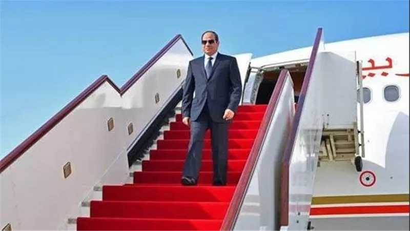 سلامة الرئيس السيسي تعود لمصر بعد القمة العربية الطارئة