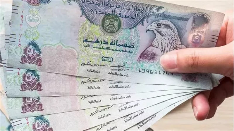 أسعار الدرهم الإماراتي أمام الجنيه المصري السبت 28 فبراير 2026