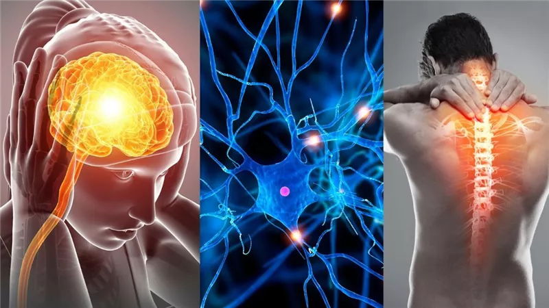 نتائج واعدة لتجربة علاجية تقلل مضاعفات «التصلب المتعدد»