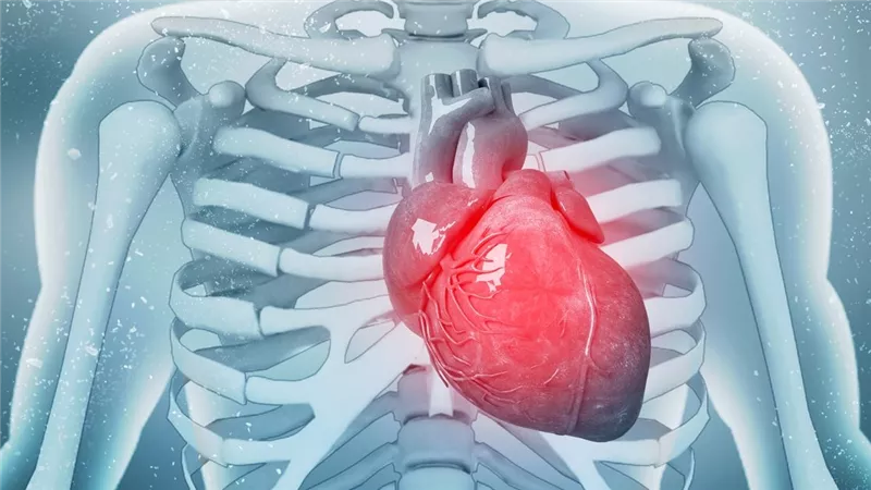اعتلال القلب.. كيف تكتشف «ضعف عضلة القلب» مبكرا؟