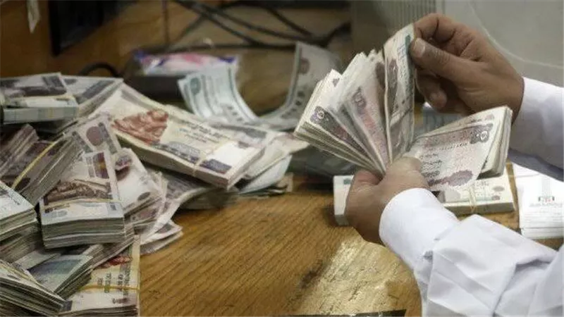 المالية تكشف خطة صرف «مرتبات العاملين» في أكتوبر 