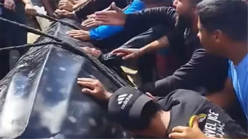 ضجة في غزة بعد ظهور سمكة مجهولة الهوية