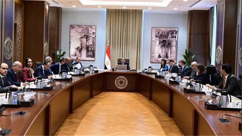 مدبولي.. الرئيس يوجه بتسهيل إدخال مشروعات الطاقة المتجددة