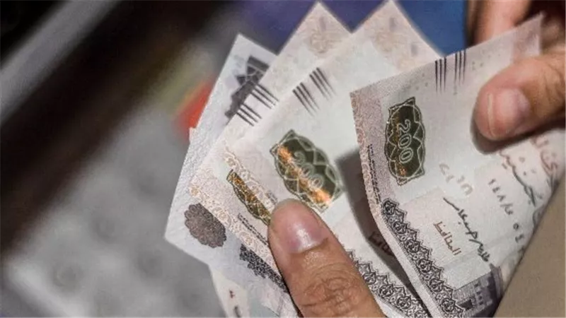 طريقة الحصول على منحة العمالة غير المنتظمة الجديدة