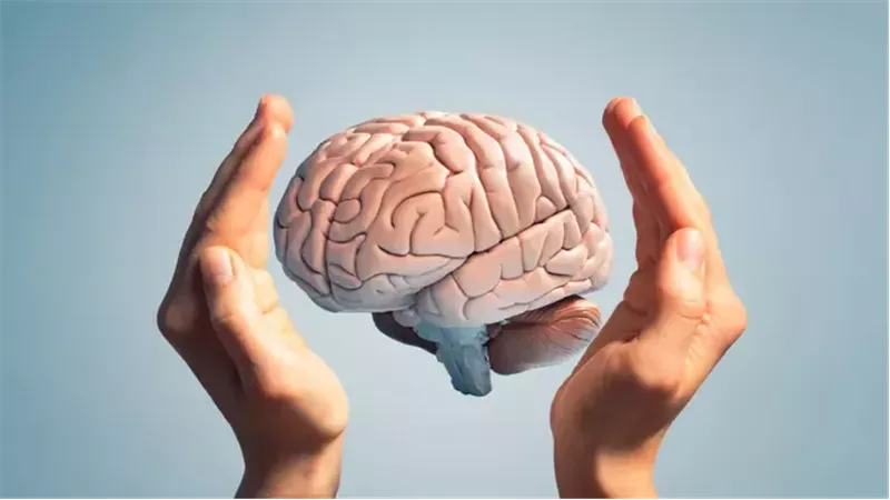 أطعمة خارقة لصحة الدماغ بعد الأربعين.. بينها ما تتناوله يوميا