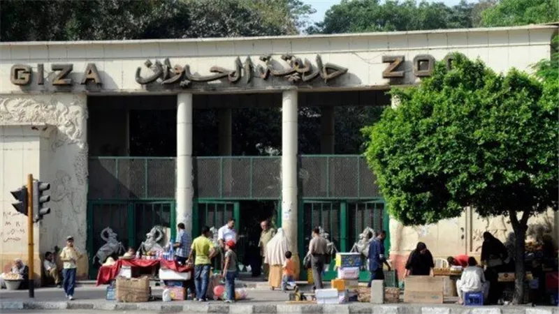 بعد تطويرها.. موعد افتتاح حديقة الحيوان بالجيزة 