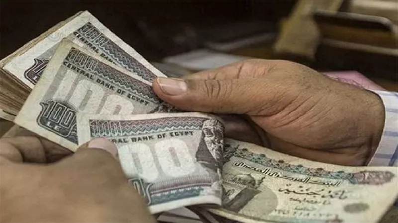 زيادة المعاشات وصرف المنحة الاستثنائية 2025 بخطوات الاستعلام
