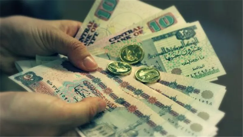 إعطاء زكاة المال للزملاء في العمل.. جائز بشروط