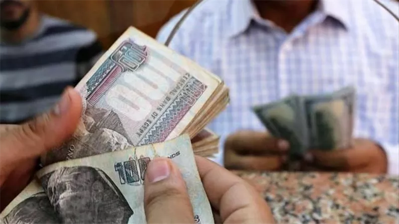 طريقة الاستعلام عن معاشات ديسمبر 2025 بالرقم القومي