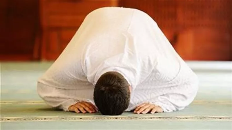 حكم نسيان ركعة في الصلاة.. أمين الإفتاء يوضح