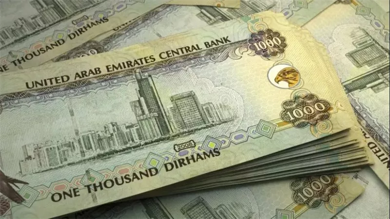 سعر الدرهم الإماراتي مقابل الجنيه المصري اليوم السبت 