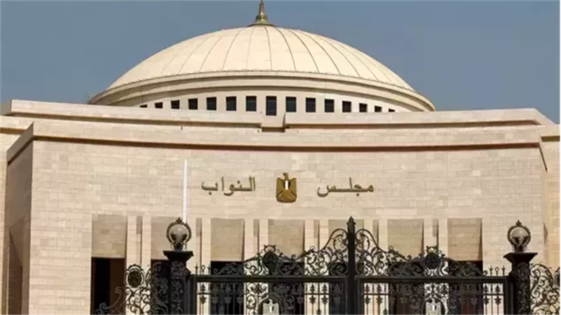 الهيئة الوطنية تعلن جولة إعادة بعد مراجعة الأصوات بالدقهلية