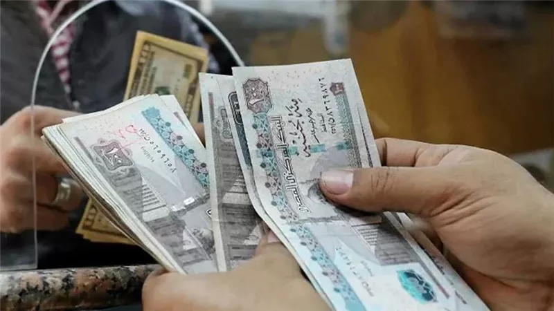 رسميا.. موعد صرف مرتبات ديسمبر 2025 بعد قرار المالية