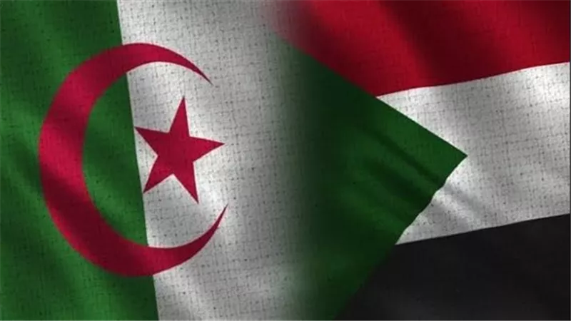 مشاهدة مباراة الجزائر والسودان بث مباشر اليوم