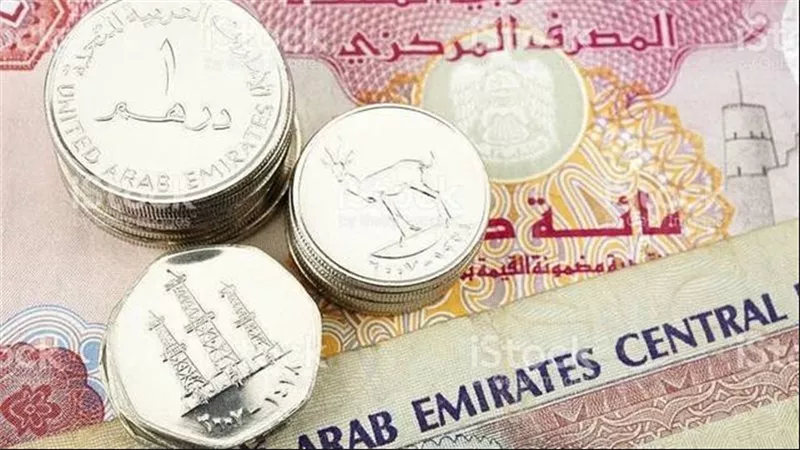 سعر الدرهم الإماراتي أمام الجنيه المصري اليوم السبت 14 مارس