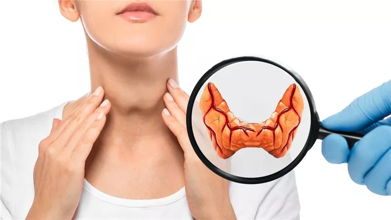 اضطرابات الغدة الدرقية.. دليل شامل للأعراض والعلاج والوقاية
