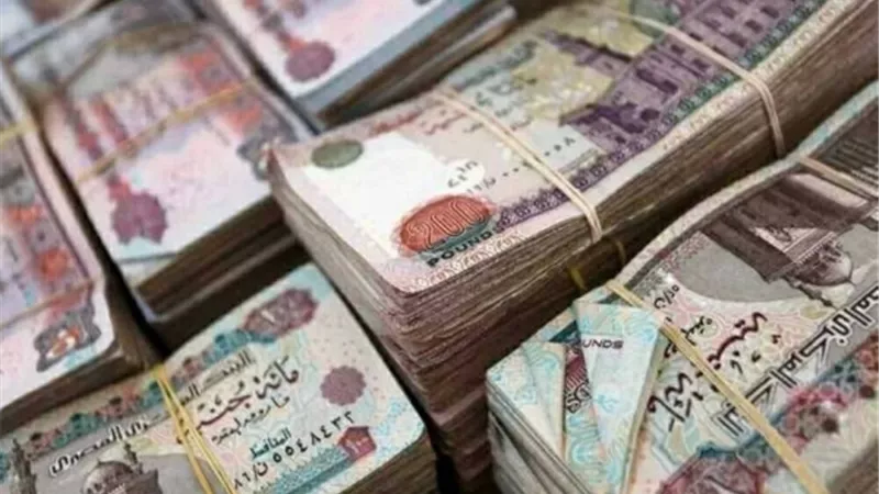 موعد صرف معاشات يناير 2026 بعد قرار التأمينات