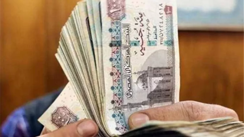 حقيقة زيادة معاشات يناير 2026 بقرار التأمينات الاجتماعية 